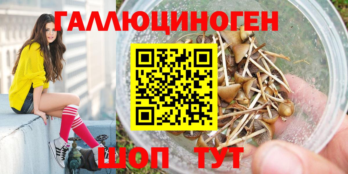 Псилоцибиновые грибы Psilocybine cubensis Сердобск