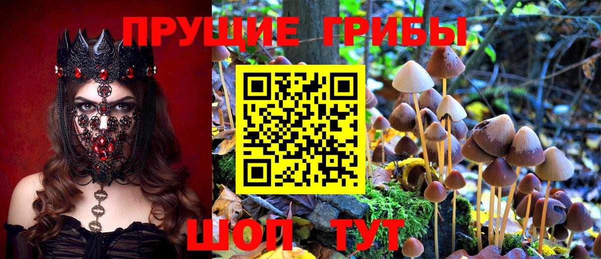 Галлюциногенные грибы мухоморы  Вход с VPN  как найти   Сердобск 