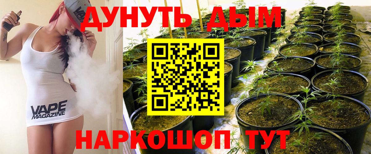 Бошки марихуана план Сердобск